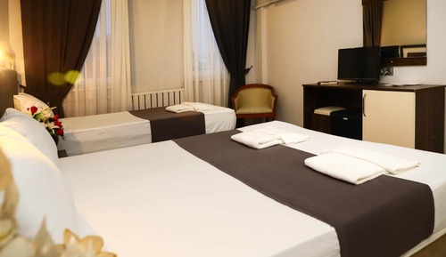 Standard Triple Room, Mountain View
