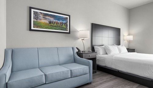 Studio, 1 King Bed, Accessible, Non Smoking (Extended Stay)