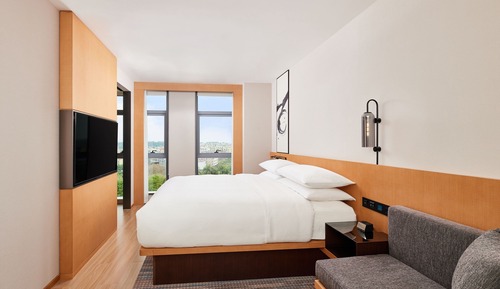 Standard Room, 1 King Bed, City View