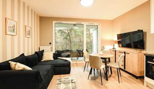 Comfort Studio