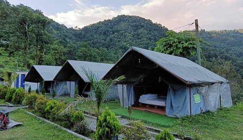 Economy Tent