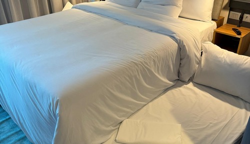 Family Room, 1 Queen Bed and a Pull-out Bed, City View