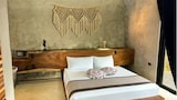 Comfort Suite