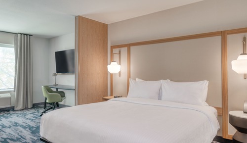 Room, 1 King Bed with Sofa bed