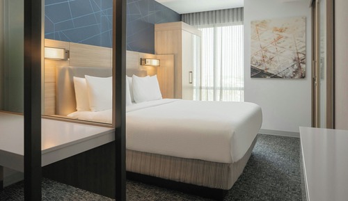 Suite, 1 King Bed with Sofa bed, Non Smoking (Mobility/Hearing Access, Roll-in Shwr)