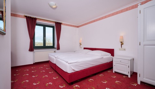 Basic Double Room