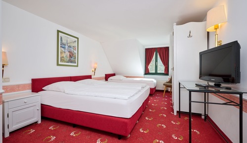 Basic Triple Room