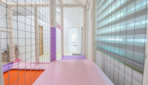 Basic Room, 3 Bedrooms (Woodvalley Kids4)