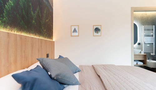 Business Double or Twin Room, Mountain View