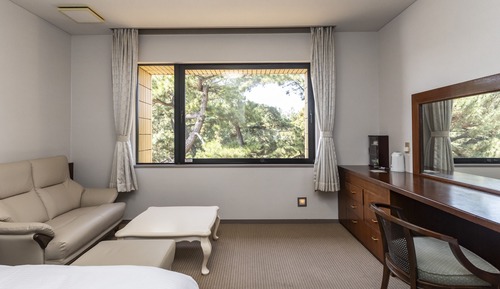 Superior Double Room, Non Smoking