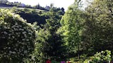 Studio (Dalija - beautiful nature and view - )