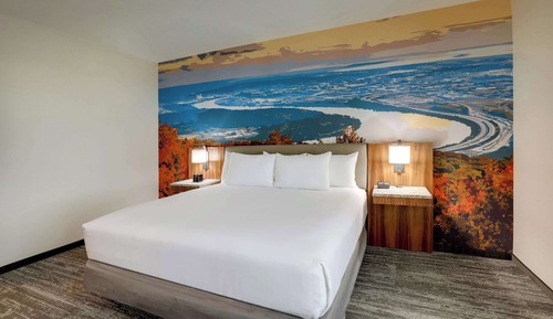 Deluxe Room, 1 King Bed, Refrigerator & Microwave (Tub)
