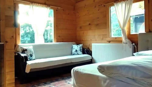 Comfort Bungalow