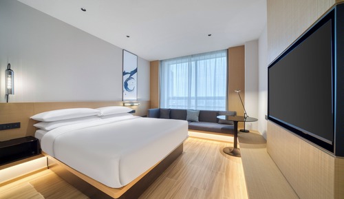 Standard Room, 1 King Bed, City View