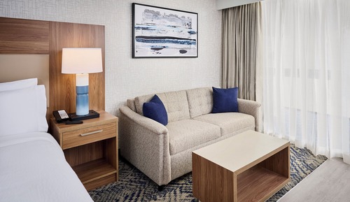 Studio Suite, 1 King Bed with Sofa bed (Walk-In Shower)