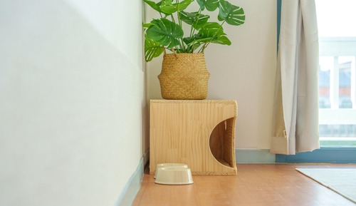 Basic Room, 1 Bedroom (201)