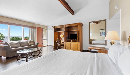 Standard Room, 1 King Bed with Sofa bed, Lake View