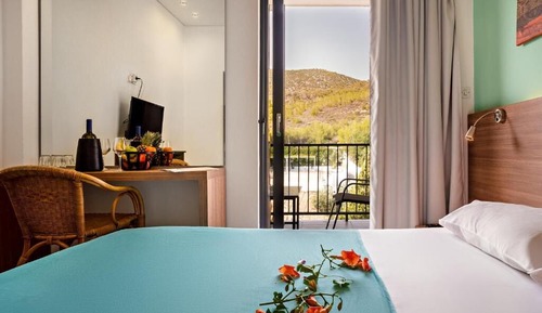 Superior Double or Twin Room, Mountain View