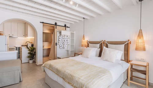 Deluxe Studio, 1 King Bed with Sofa bed