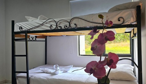 Quadruple Room, Multiple Beds