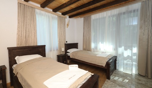 Panoramic Twin Room