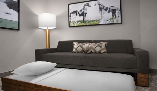 Suite, 1 King Bed with Sofa bed