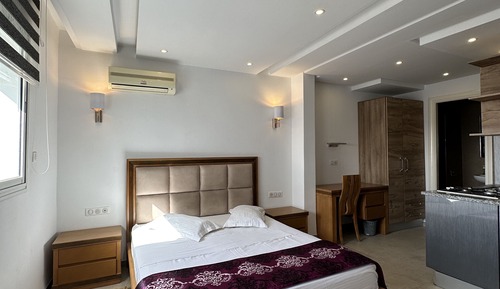 Basic Apartment