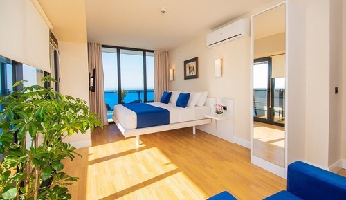 Comfort Studio, 1 King Bed with Sofa bed