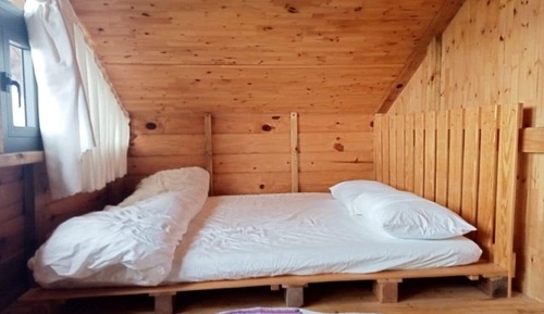 Panoramic Shared Dormitory