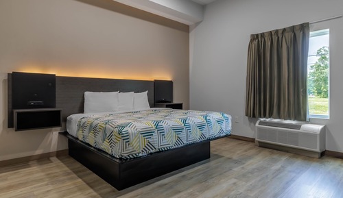 Deluxe Room, 1 King Bed, Non Smoking, Refrigerator & Microwave