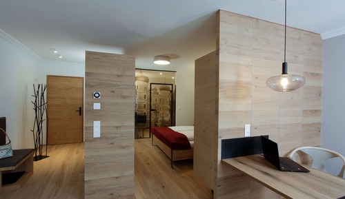 Comfort Apartment, 1 Double Bed with Sofa bed