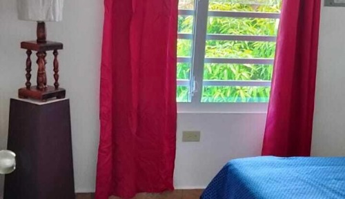 Basic Apartment