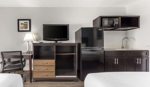 Suite, 1 King Bed, Non Smoking (Efficiency)