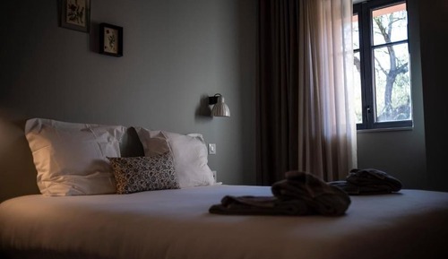 Comfort Suite