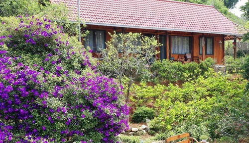 Family Villa