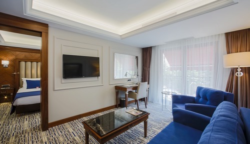 Junior Suite, 1 Queen Bed with Sofa bed, Mountain View