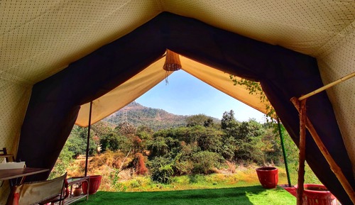 Standard Tent
