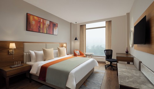 Deluxe Room, 1 King Bed (Premium King)