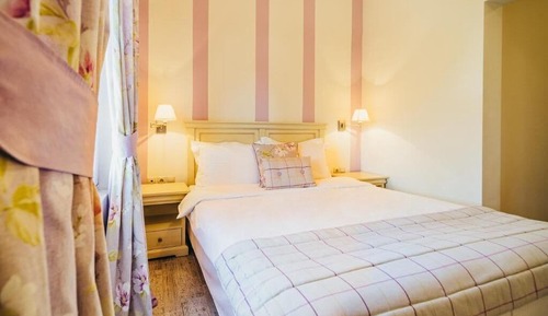 Deluxe Double Room Purple