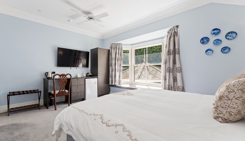 Comfort Single Room, 1 King Bed, Garden View