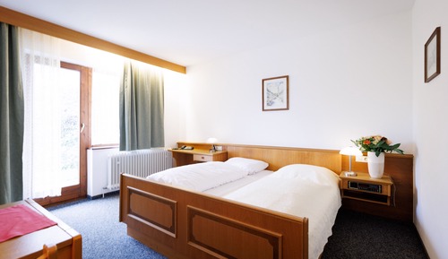 Classic Double Room, 1 Queen Bed