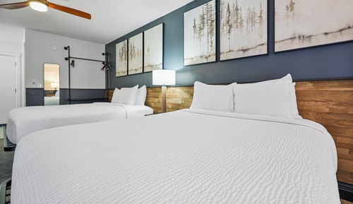 Newly Renovated Pet-friendly 2 Queen Room