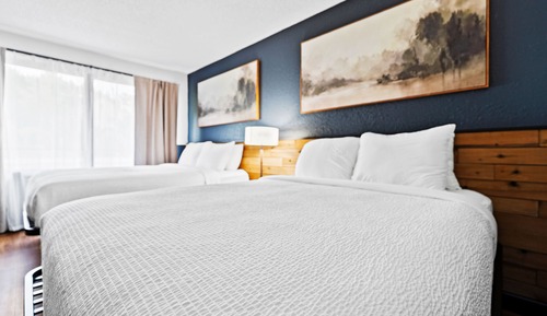 Renovated 2 Queen Suite Pet Friendly