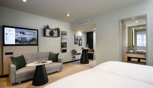 Studio, 1 King Bed with Sofa bed