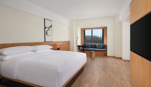 Business Room, 1 King Bed, City View