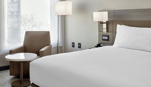 Room, 1 King Bed with Sofa bed