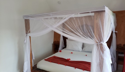 Superior Bungalow, 1 King Bed, Non Smoking, Garden View