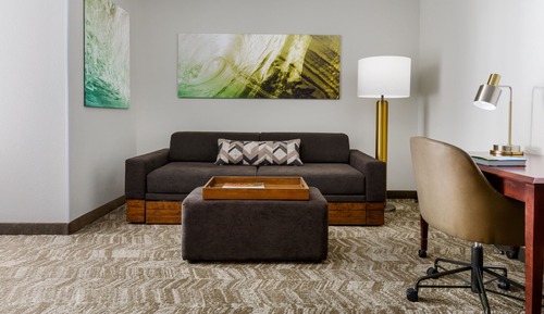 Executive Suite, 1 King Bed with Sofa bed