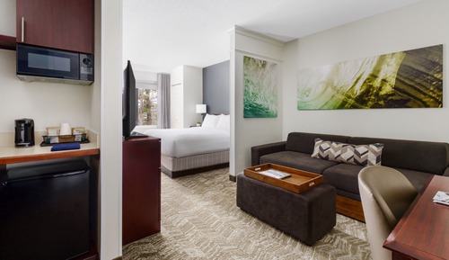 Suite, 1 King Bed with Sofa bed (Hearing Accessible)