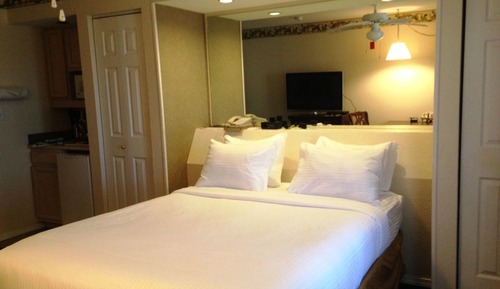 Studio, 1 Queen Bed